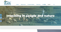 Desktop Screenshot of mava-foundation.org